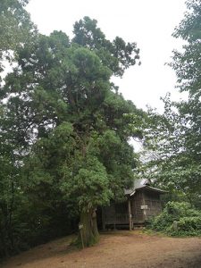 楞厳寺