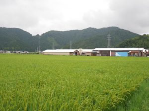 楞厳寺