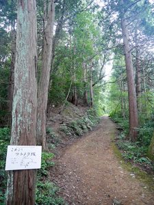 楞厳寺