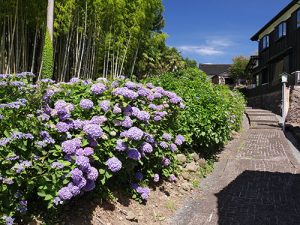 瑞鳳山地福院