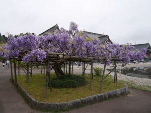 倶利迦羅不動寺