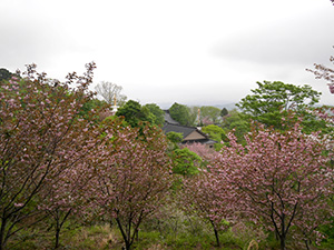 倶利迦羅不動寺