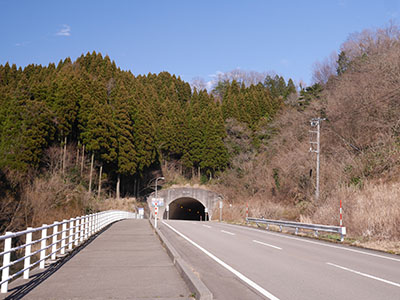 笠野鳥越城