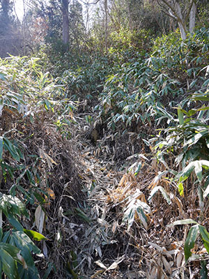 笠野鳥越城