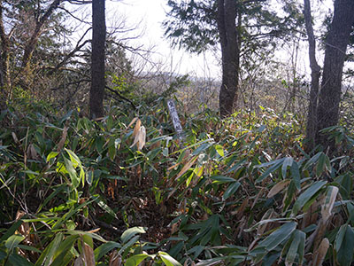 笠野鳥越城