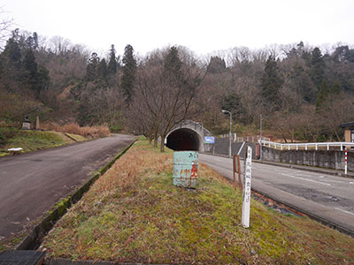 笠野鳥越城