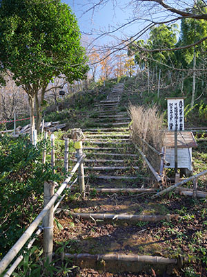 蓮台寺城