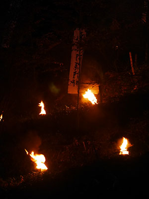 蓮台寺城