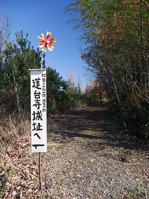 蓮台寺城