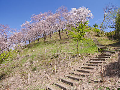 高尾城