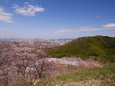 高尾城