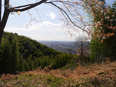 高尾城