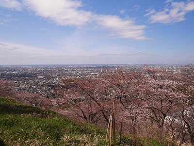 高尾城