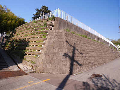 若松本泉寺