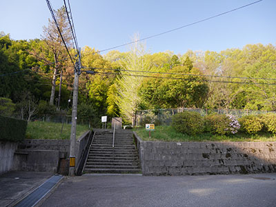 若松本泉寺