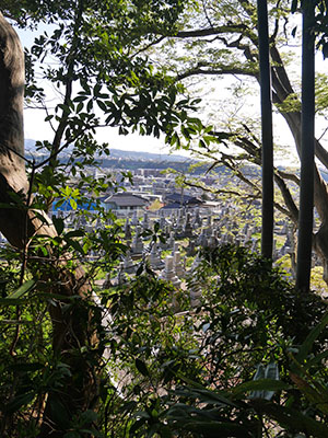 若松本泉寺