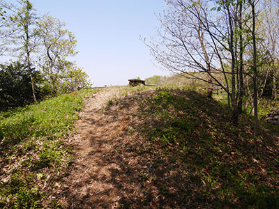 堅田城