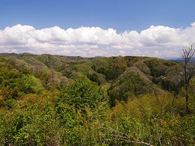 堅田城