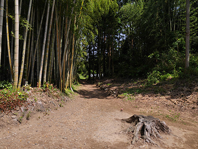 山田光教寺