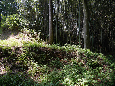 山田光教寺