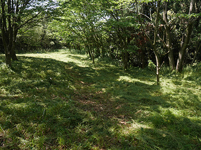 山田光教寺