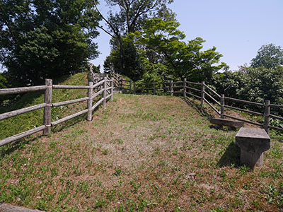 龍ヶ峰城