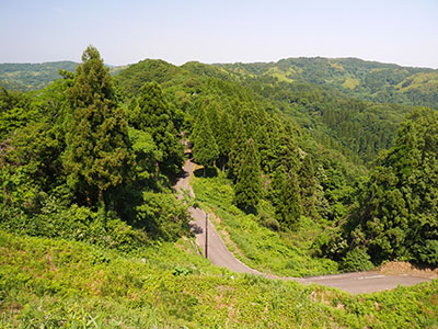 龍ヶ峰城