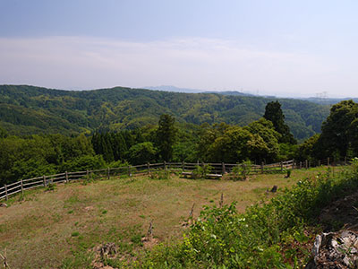 龍ヶ峰城