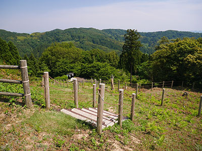 龍ヶ峰城