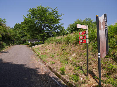 龍ヶ峰城