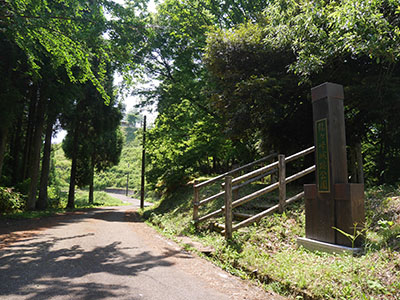 龍ヶ峰城