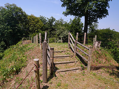 龍ヶ峰城