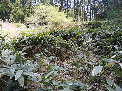 正院川尻城