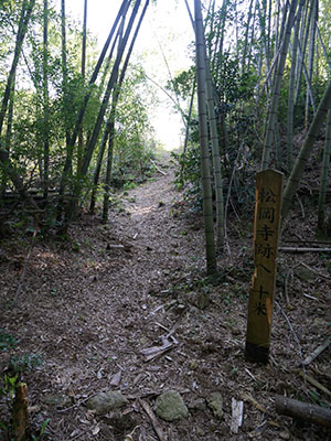 波佐谷松岡寺