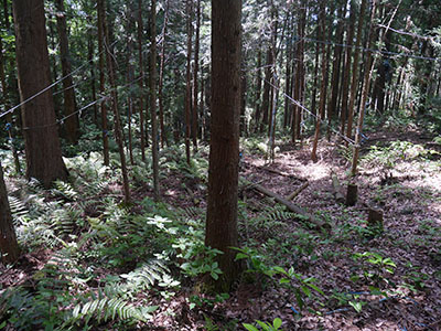 塔尾超勝寺