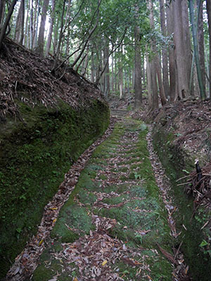 塔尾超勝寺