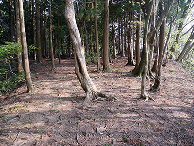 石動山長坂道砦