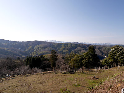 龍ヶ峰城