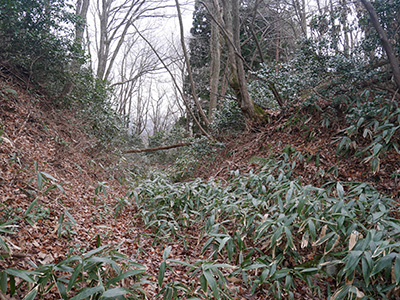 三坂峠城