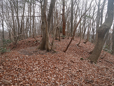 三坂峠城