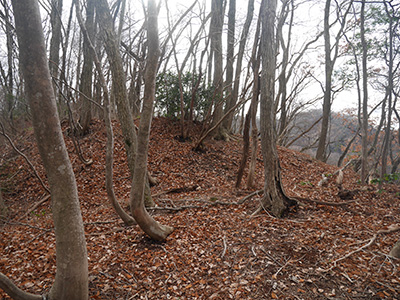 三坂峠城