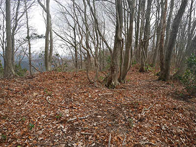 三坂峠城