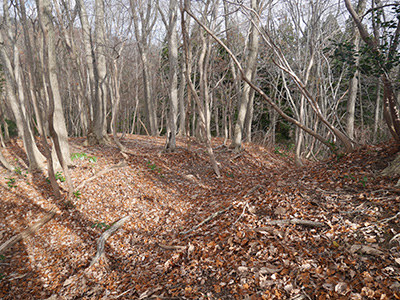 三坂峠城