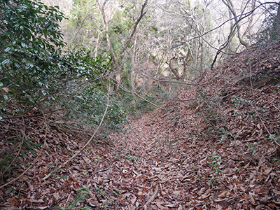 三坂峠城