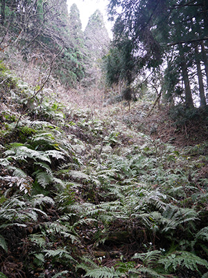 三坂峠城