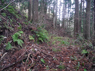 三坂峠城