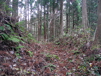 三坂峠城