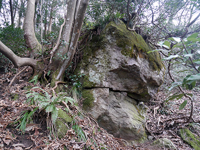 三坂峠城