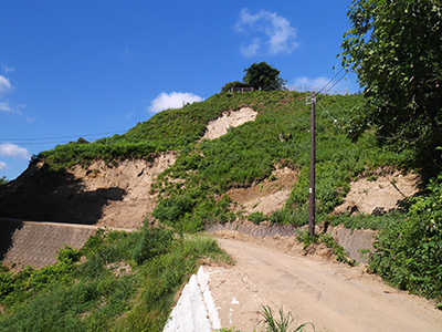 龍ヶ峰城