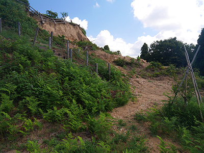 龍ヶ峰城